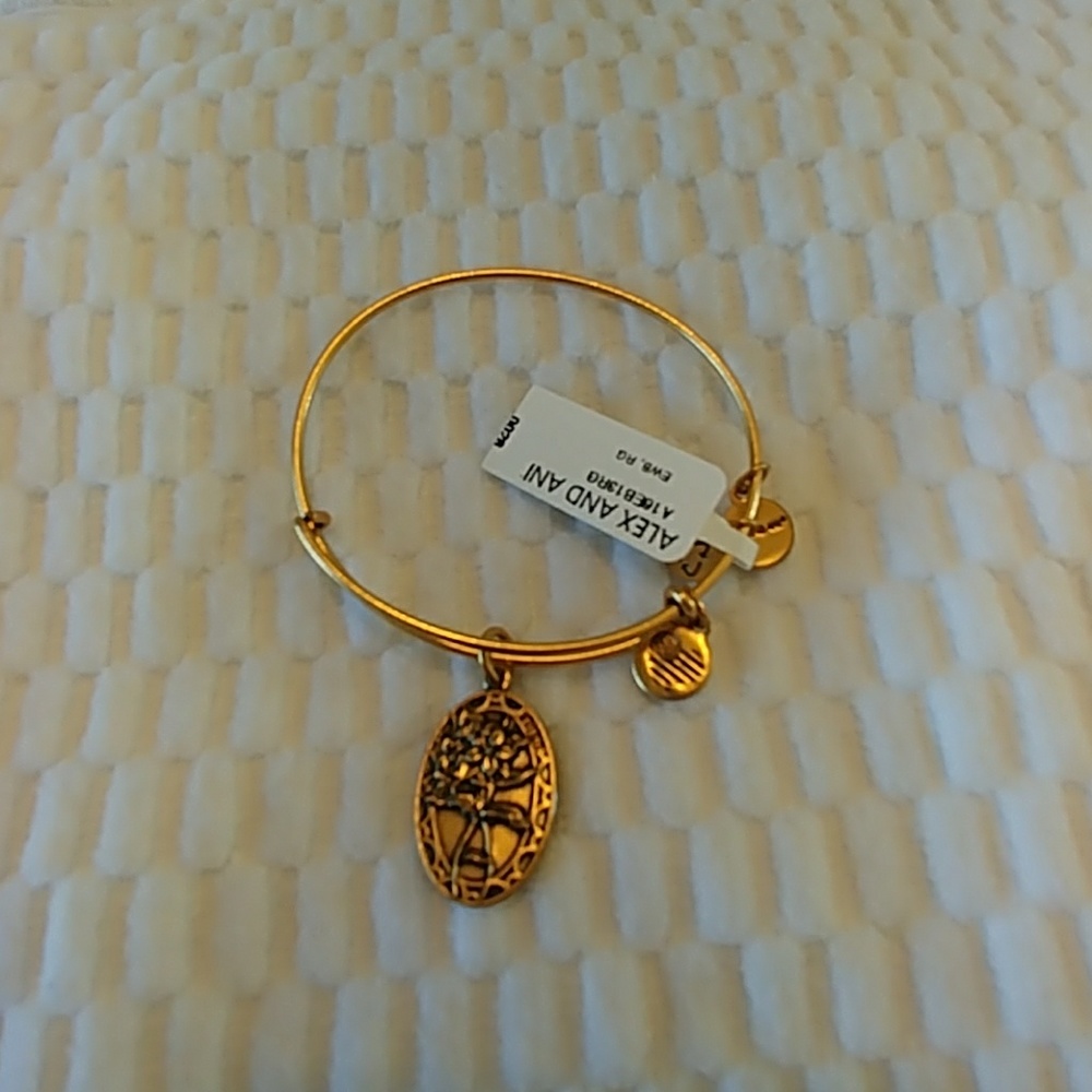 Alex and Ani Friendship Charm Bracelet